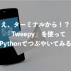 え、ターミナルから！？「Tweepy」を使ってPythonでつぶやいてみる